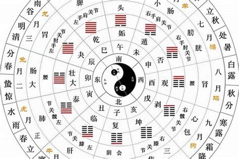 天干地支年份表|干支